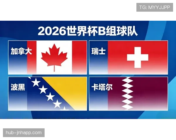 世界杯B组瑞士卡塔尔焦点解析